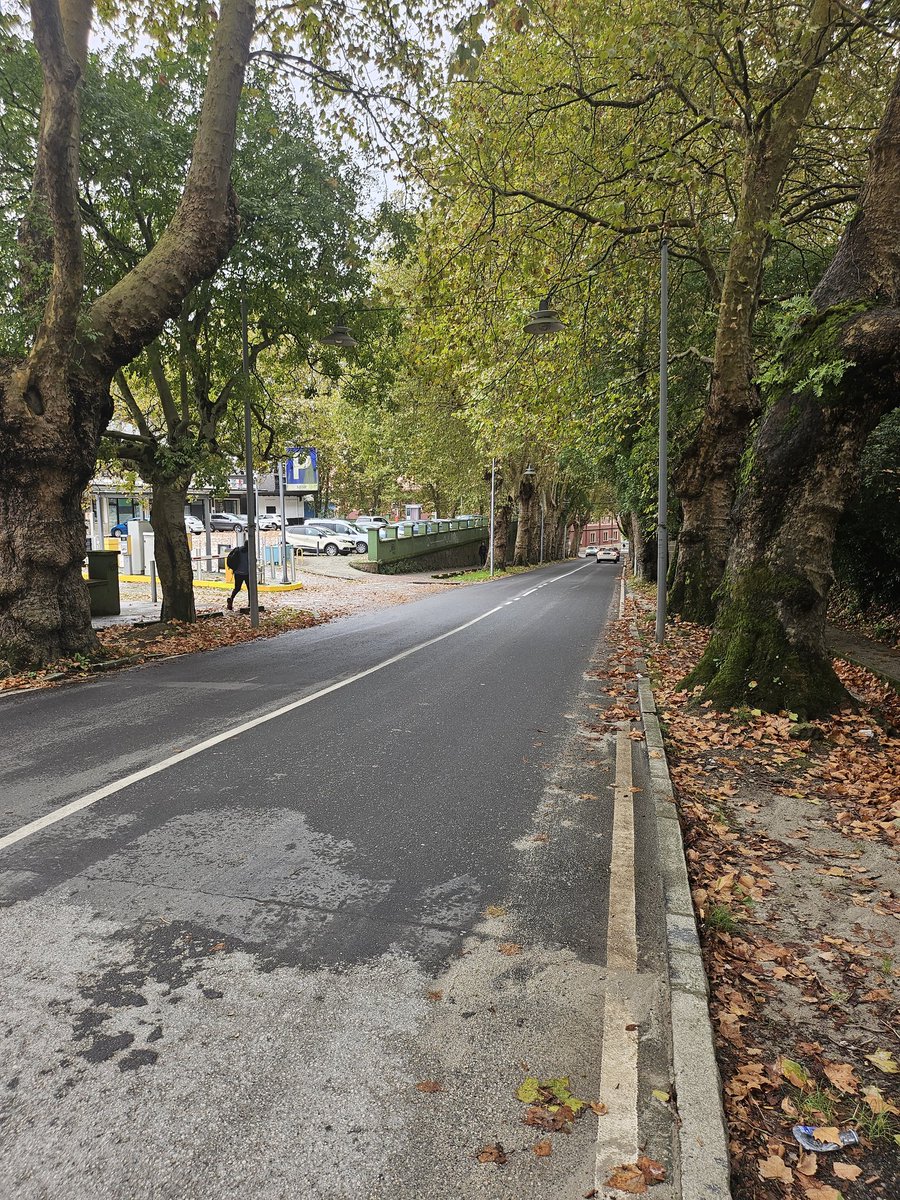 🔊 Insisto. Es muy necesario pintar el paso de peatones porque es una zona muy transitada y peligrosa. Meses así, PP de #Ferrol. Avenida Compostela.  #LosdelaChampions #Mantenimiento 🎨⚪️⚫️