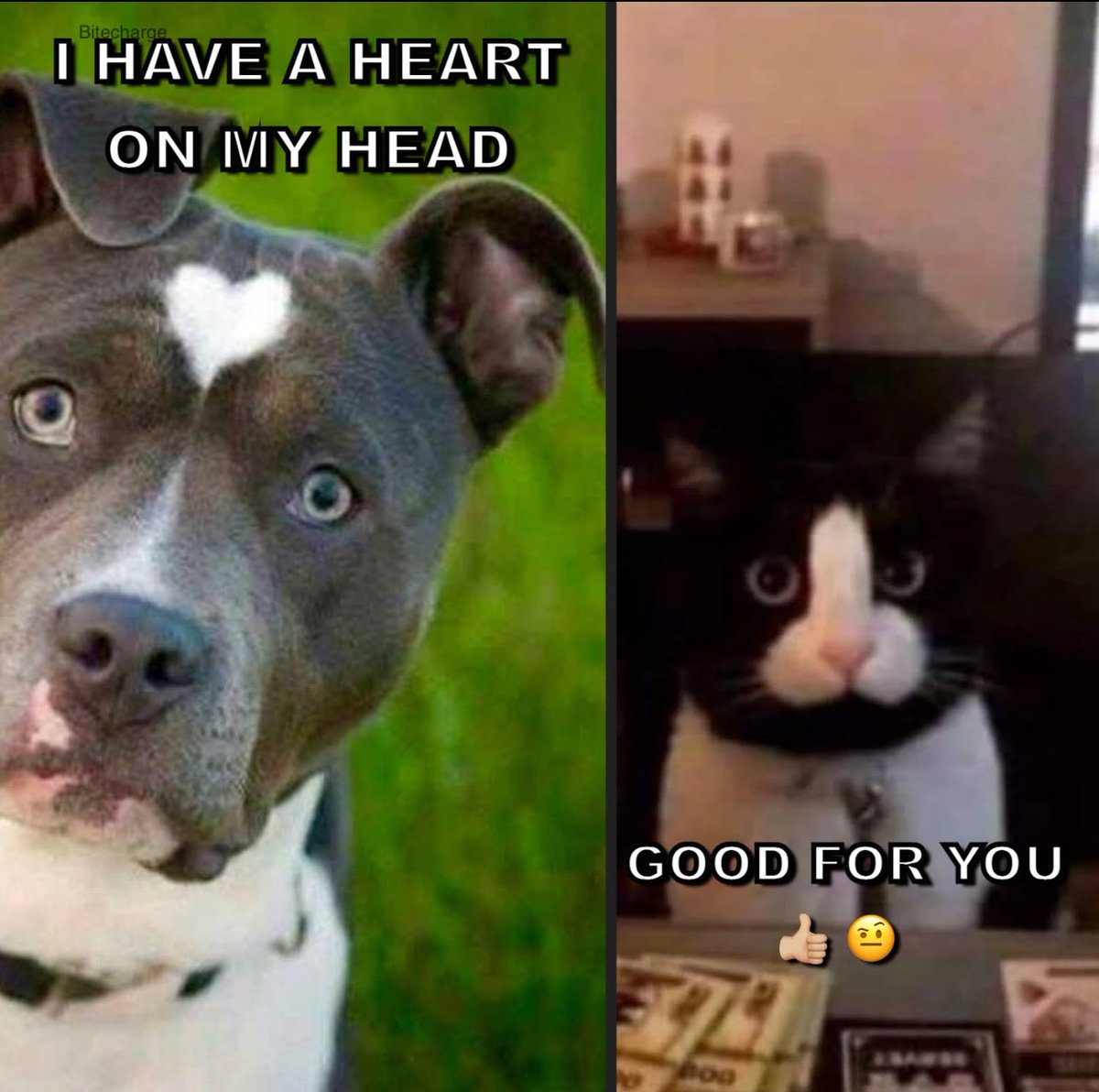 FFT1776's tweet image. Good morning!😅