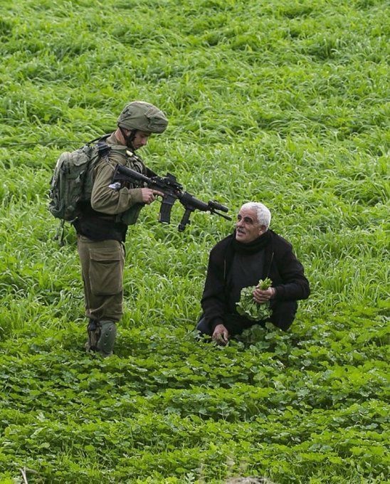 aldamu_jo's tweet image. Palestine 🇵🇸 in one Photo.