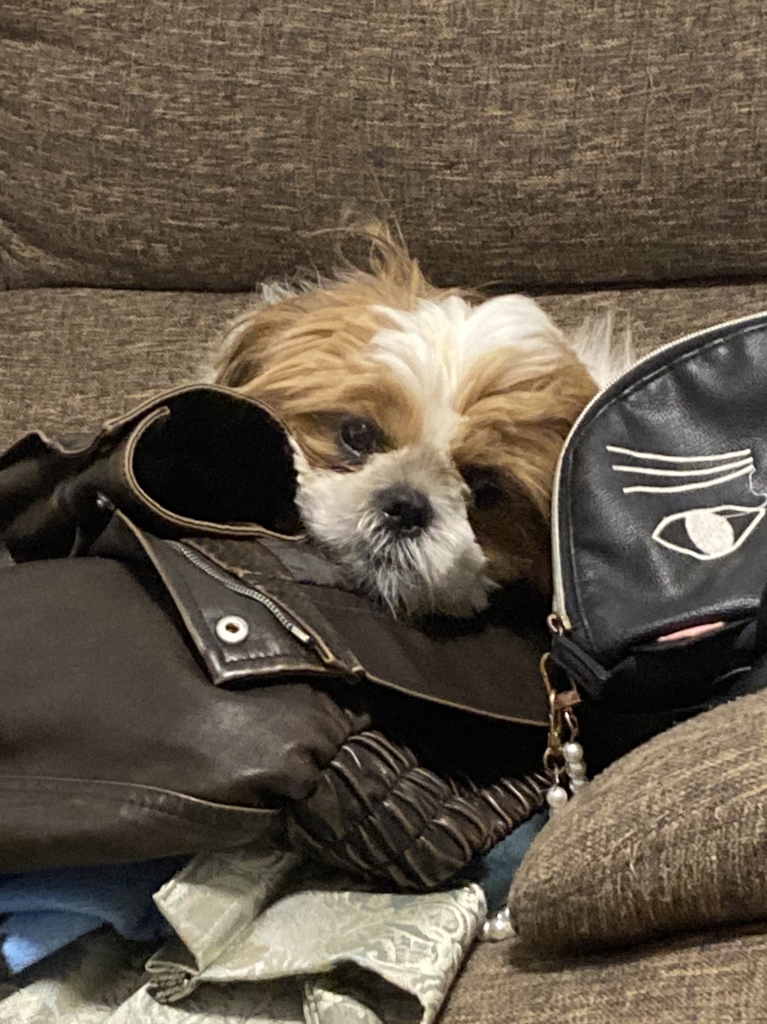 神坂茉莉花 on X: 