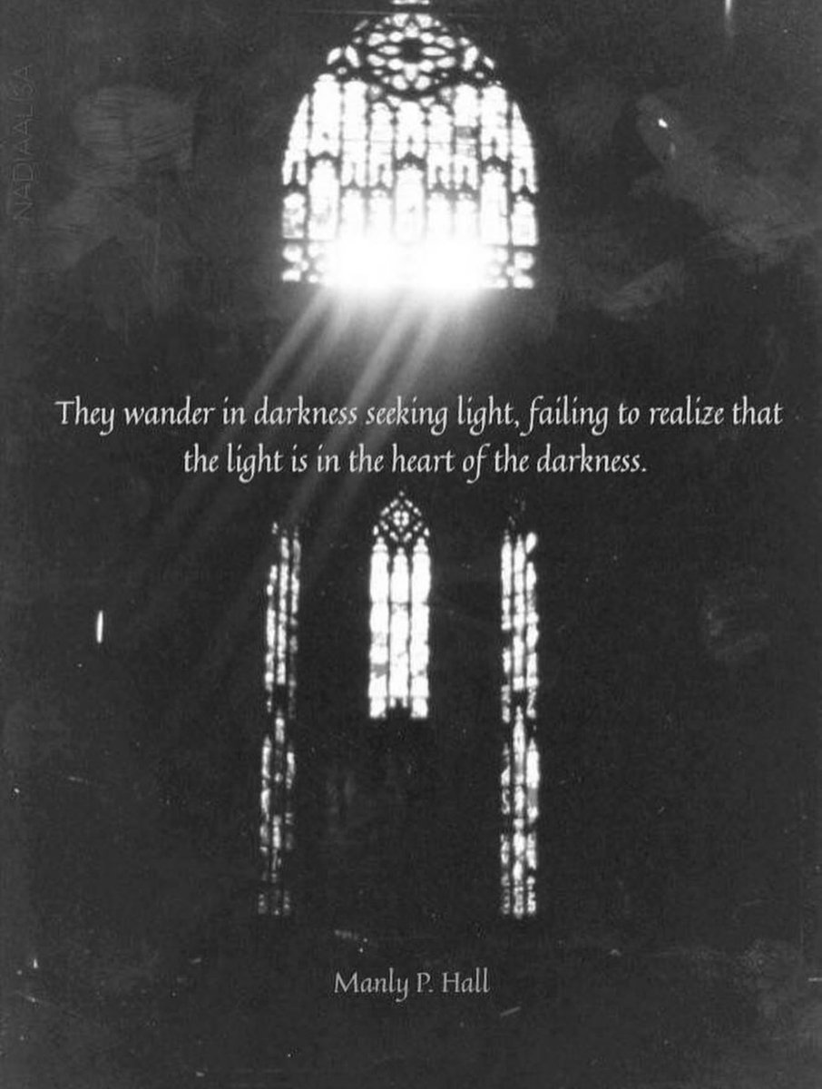 ✨