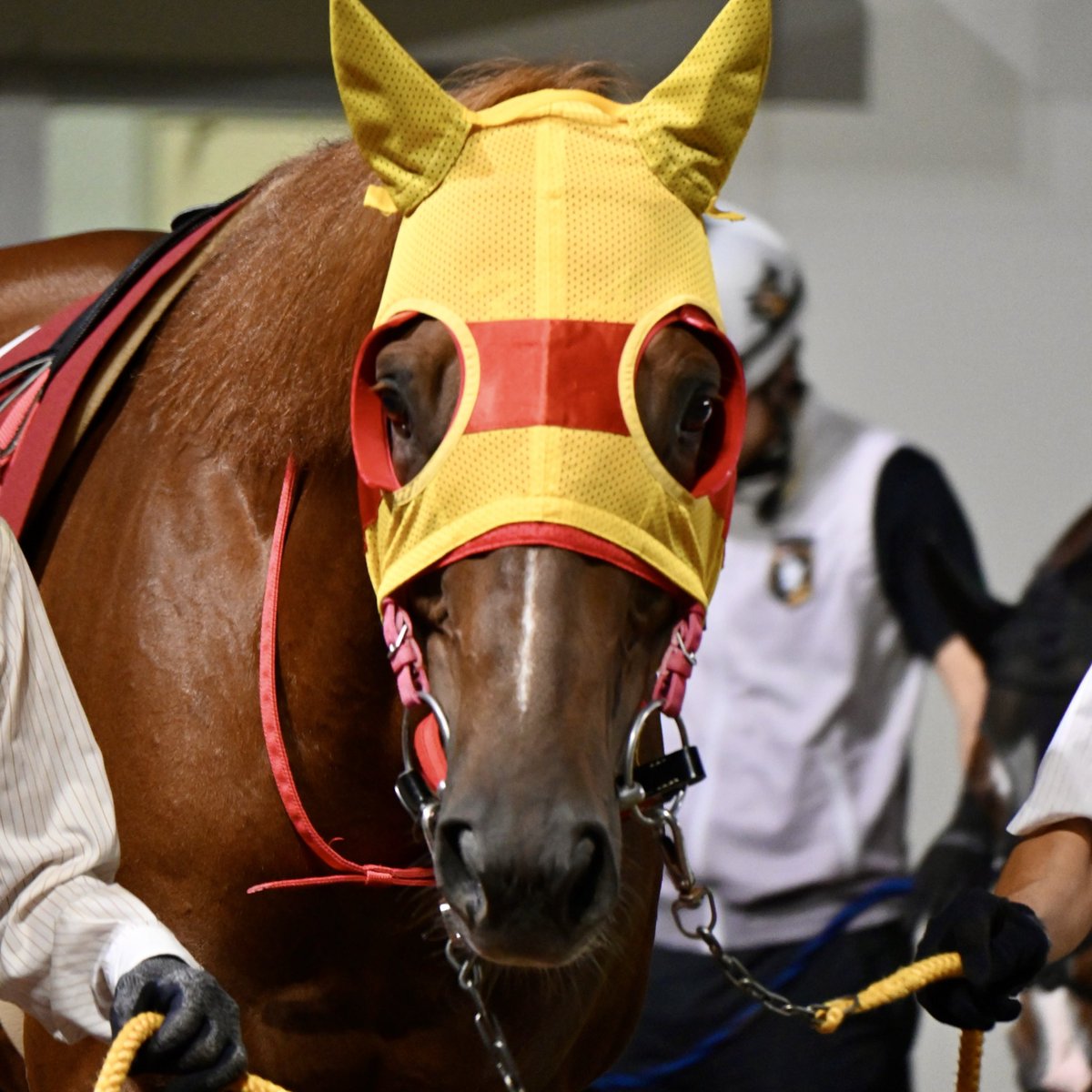 アバカス (@abacus_pangya) / Posts / X