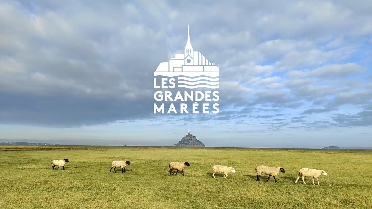 Le Belleguy tweet media