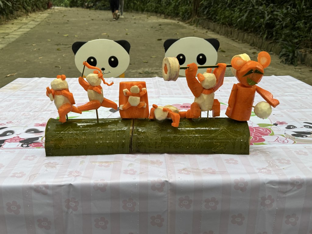 pandas_fr's tweet image. 🐼🐼 🇨🇳 Préparation d’un objet d’enrichissement à base de 🥕 et bambou qui a été remis à la jeune femelle #MeiZhu #妹珠, âgée de 16 mois, et sa mère Meng Meng (萌萌), ce lundi 20 octobre au parc de #Chimelong à Guangzhou / Canton.
📸 ©️ Jérôme POUILLE/ panda.fr