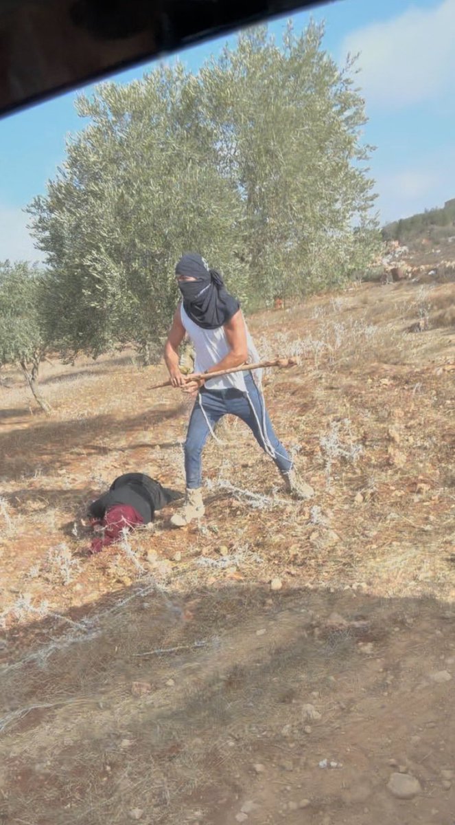 CaronAymericoff's tweet image. Colon israélien qui vient d’assommer une vieille dame palestinienne devant ses oliviers sur sa terre, en Cisjordanie.
Un terroriste.
