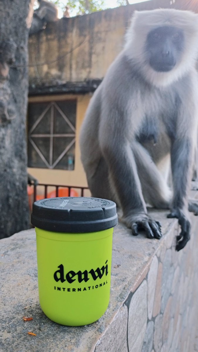 🐒🇮🇳🐒🇮🇳🐒🇮🇳🐒