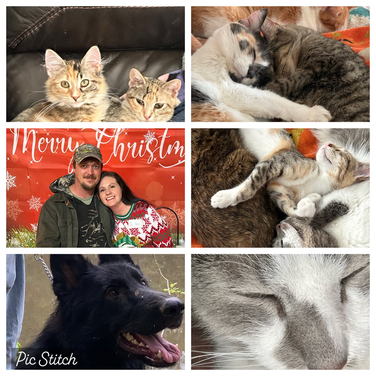 VetMayfield's tweet image. Meet Ginger! She&apos;s a vet technician at @VetMayfield. Visit our Facebook page as we celebrate her hard work and dedication to your pets today. #VetTechWeek2025