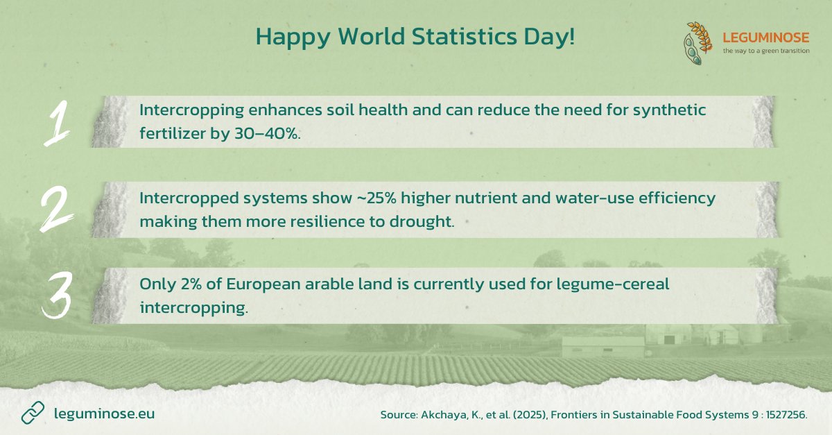 📊 Data drives sustainability!

Intercropping can:
🌱 increase yields by up to 30%,
🌍 cut fertiliser use by 30–40%, and
💧 boost drought resilience by 20%.

Yet, only 2% of Europe’s arable land uses legume–cereal mixes. Time to scale up!

👉 leguminose.eu/intercropping