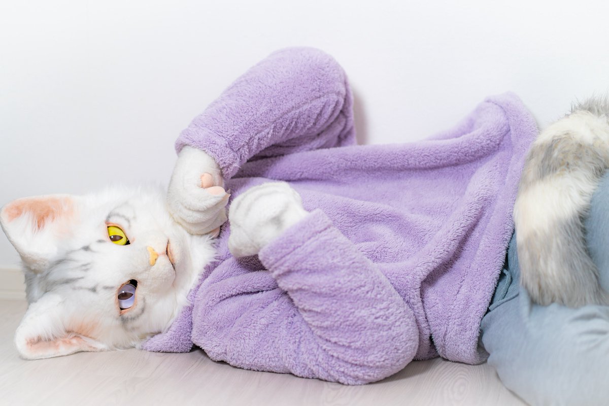 新しいふわもちパジャマ〜
ウーノくんが雑誌みたいに撮ってくれた🥰

📸▶︎<a href="/uno_foxy/">ウーノ（Uno）</a> 
#FursuitEveryday #創造トリアノン #カルの結晶