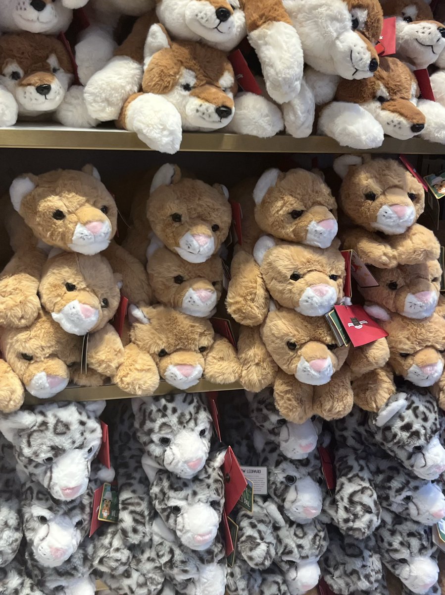 AcatfromPandora tweet media