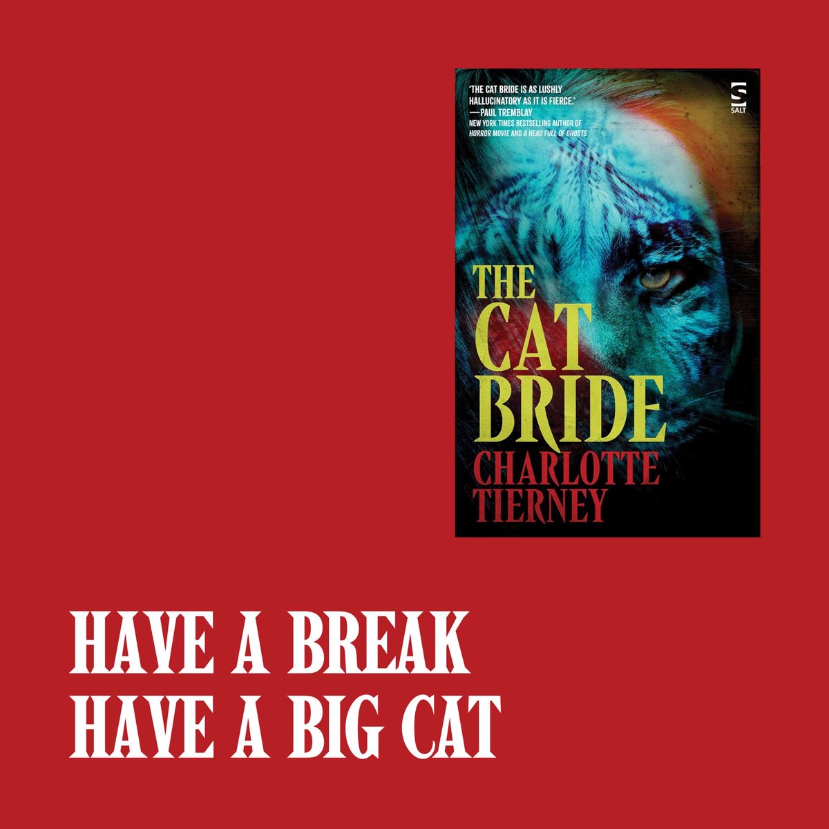 If you buy a copy of my nineties, gothic, cat-lady novel ‘The Cat Bride’, you are supporting independent publishing. 

If you have bought it - thank you! - even better, read it! Perhaps leave a review!