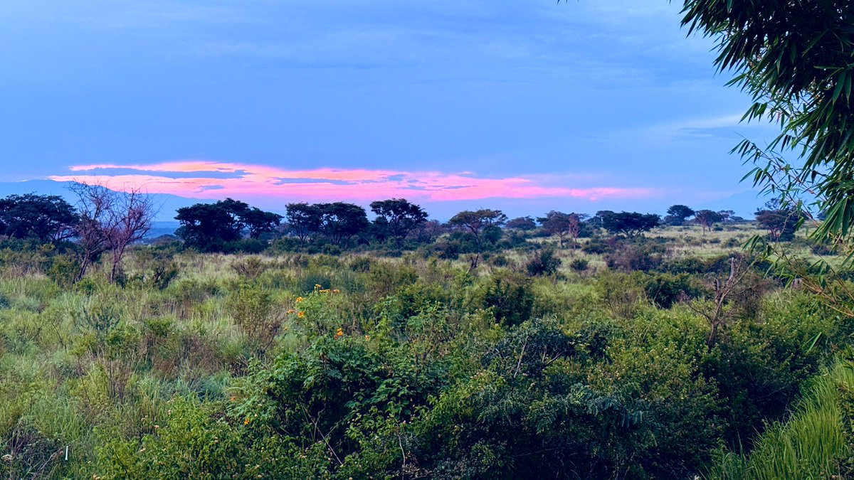 Topi lodge Ishasha sector uganda 🇺🇬