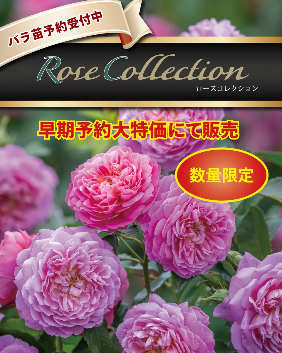 G3sfnNfb0AA4XM3?format=webp&