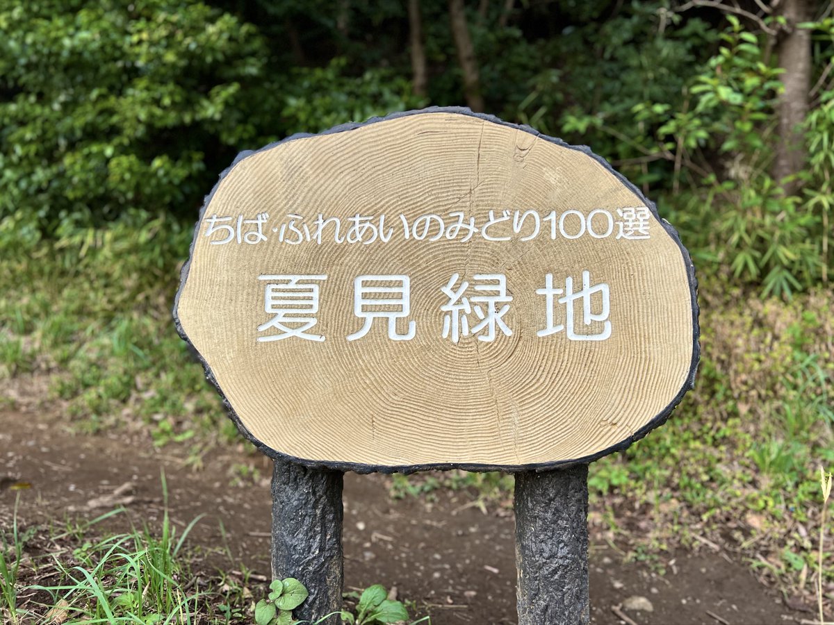 dora@photo (@dokodemo_dora) / Posts / X