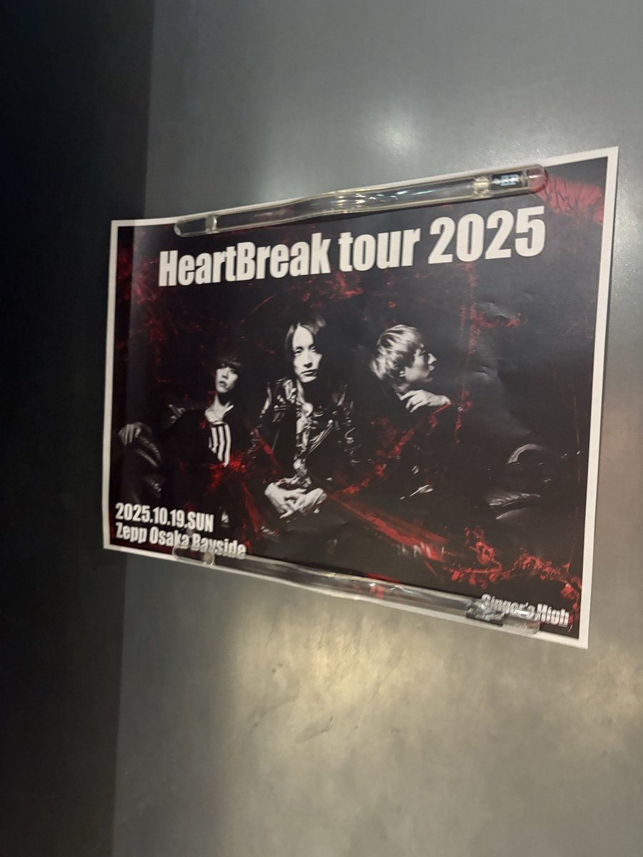 シンガーズハイ - Search / X