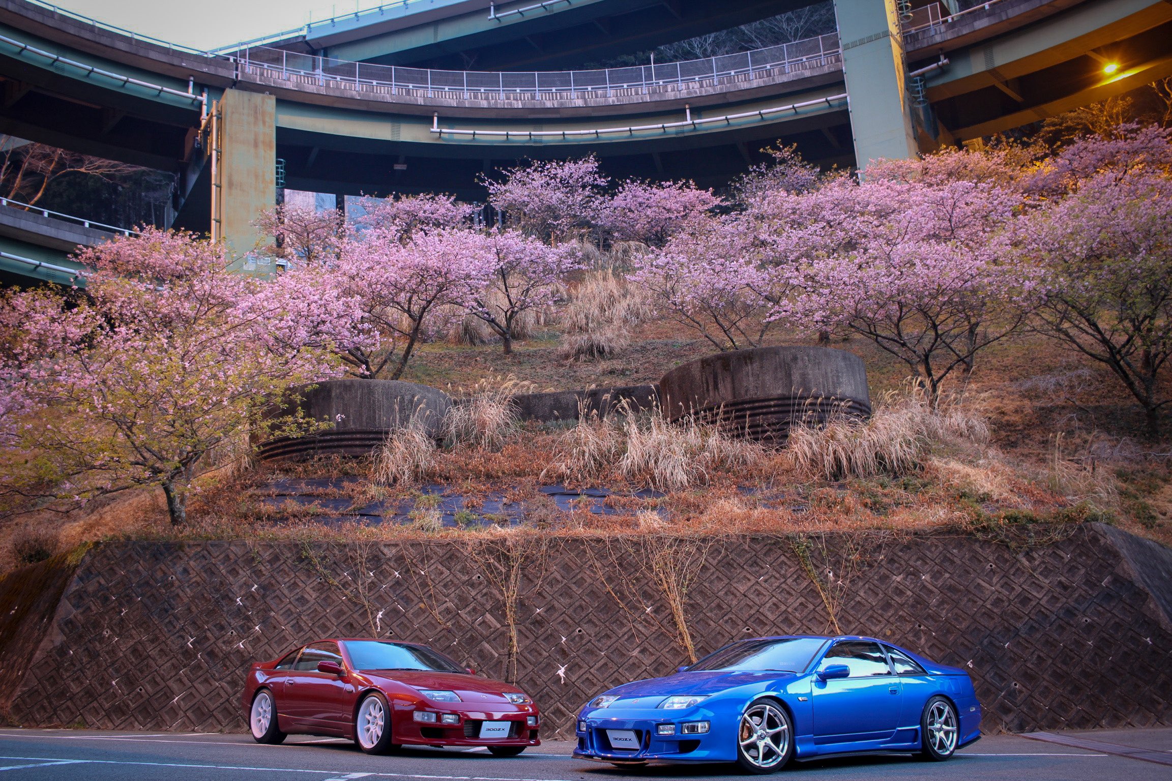 ⭐️さえです Amazon | [CO-COS] [ジプロア] ZIPLOA アンゼンスニーカー HZ