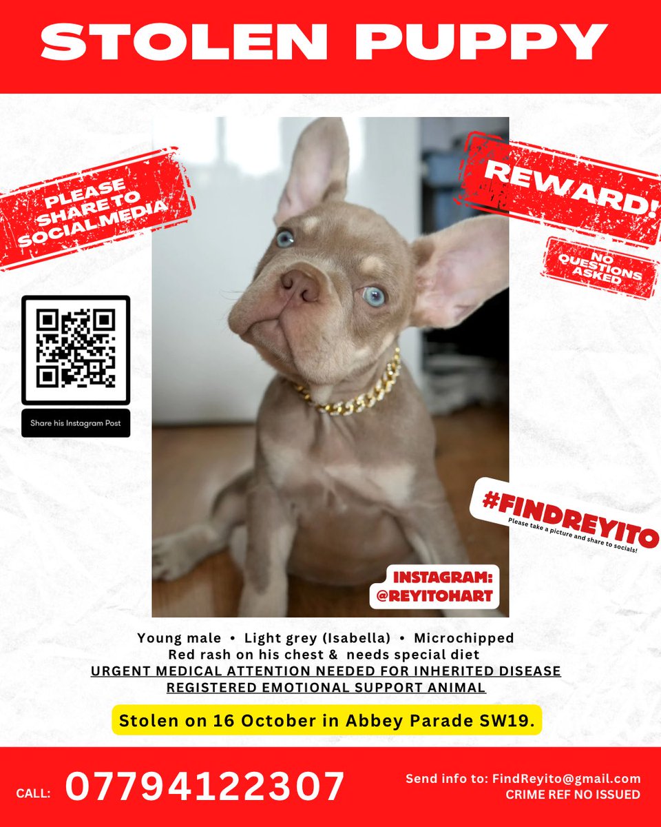 myleshart's tweet photo. @Ldn_Ambulance #findreyito https://t.co/a99XDgKJmg