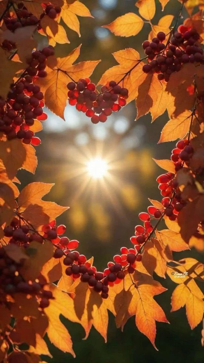 BBManuela ⚓️🍀⚜️ (@manuelabraho) on Twitter photo "No te conformes hasta que lo bueno sea mejor y lo mejor excelente."
#BuenLunes🍂🍁🍂🌹
#BuenaSemanaAtodos 💕🙋🏻♀️
#MaravillosasBendiciones🌿🙏 ✨💫 "No te conformes hasta que lo bueno sea mejor y lo mejor excelente."
#BuenLunes🍂🍁🍂🌹
#BuenaSemanaAtodos 💕🙋🏻♀️
#MaravillosasBendiciones🌿🙏 ✨💫