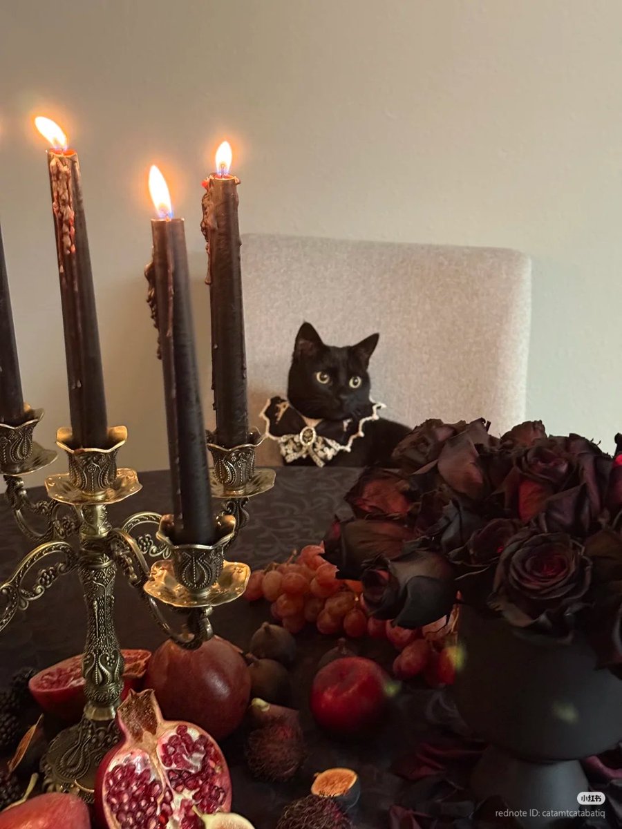 We are having a dinner