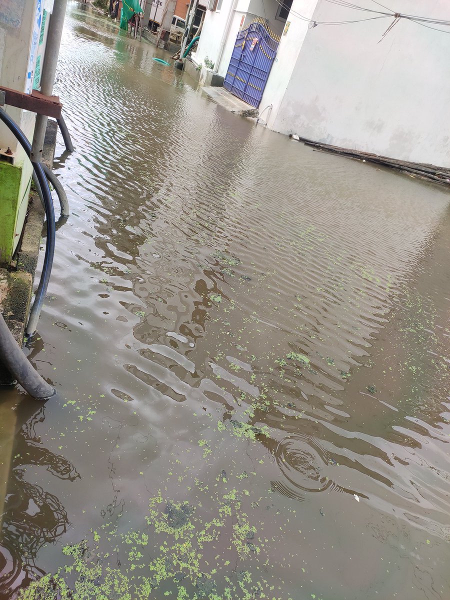 #OMR Royal ave 3rd Street Thuraipakkam