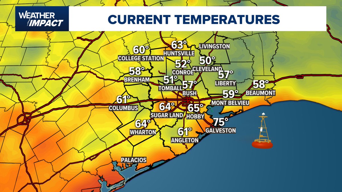 Chita Craft tweet media