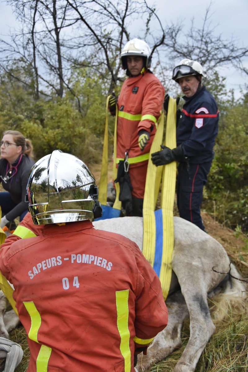 Pompiers 04 tweet media