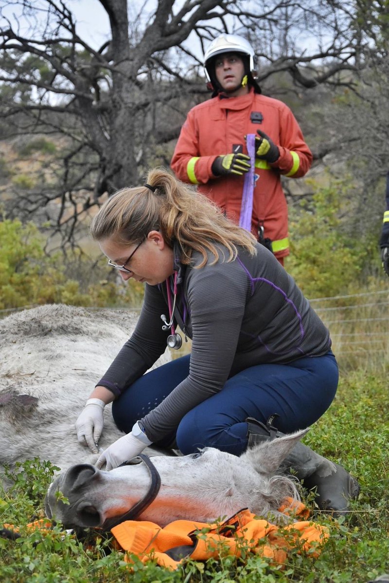 Pompiers 04 tweet media