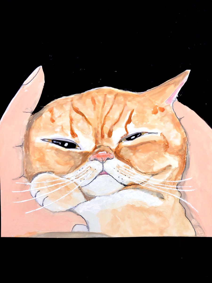 ごろ猫 石の上にいる #ねこ #猫 #cat #NEKOくらぶ #yourshotphotographer