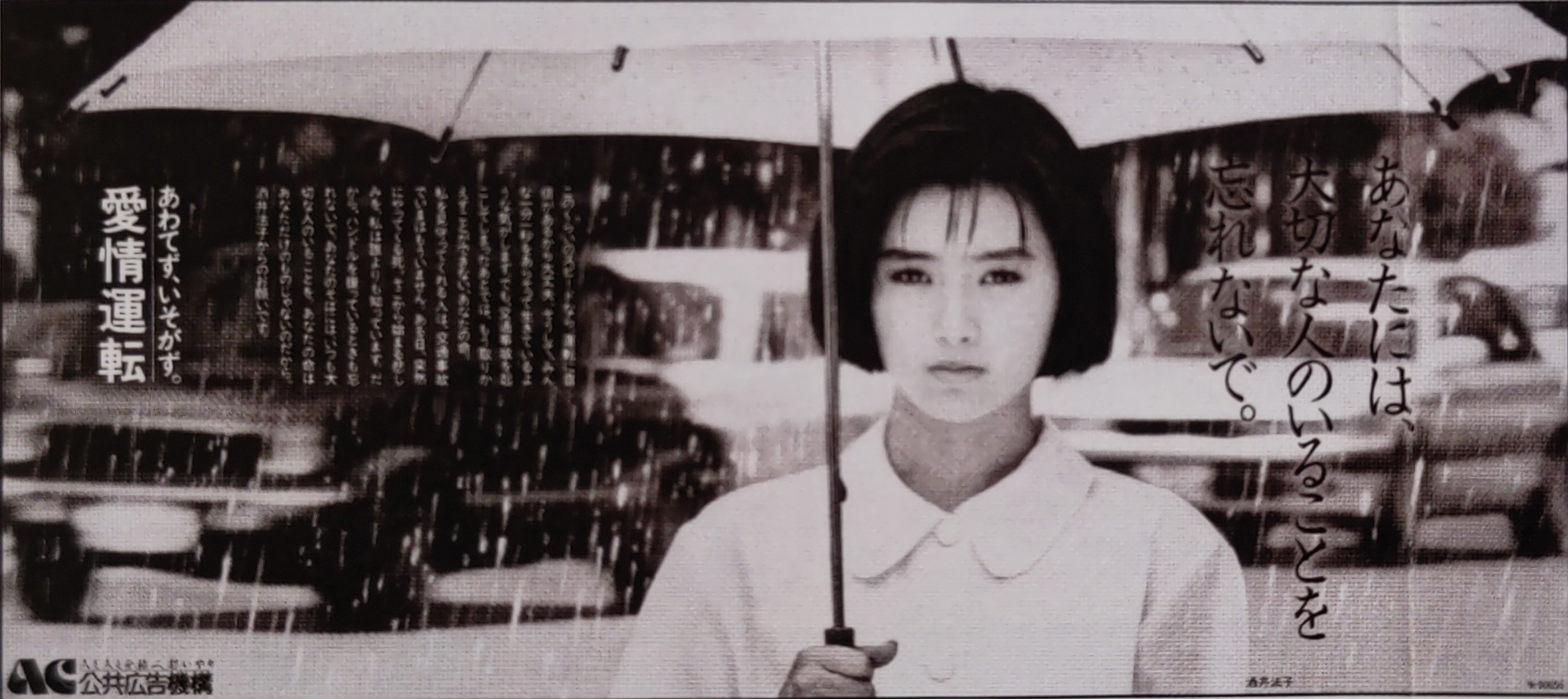 のりピー - Search / X