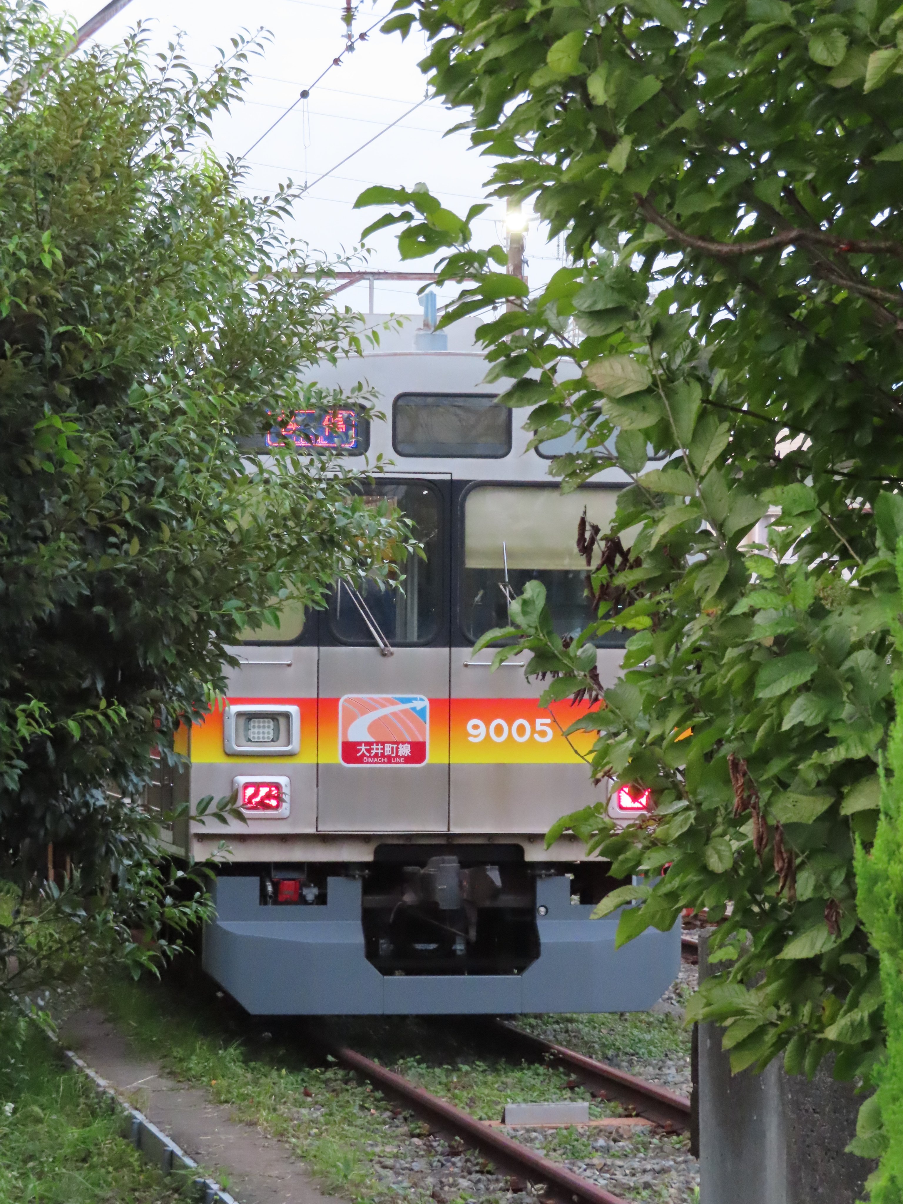 アホ(天才)(有名人) (@SEMI_SAYAMASHI) / X