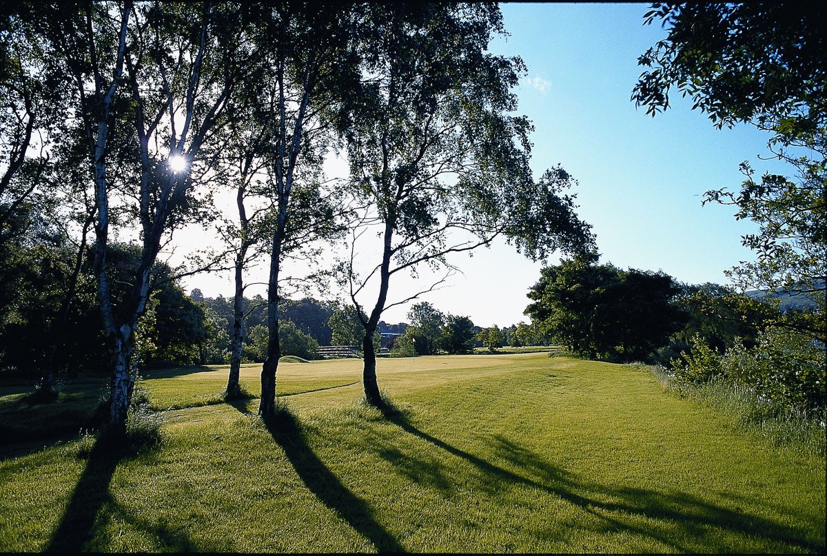 It may be 6 months away but tee times for our great value Men’s, Ladies’ and Mixed Open Days are filling up fast
Indeed, there are only 2 times left for the Men’s Summer Seniors Open in July
Book your tee time tinyurl.com/y34cj4wj
#MotivationMonday #OpenDays #GolfOpenDays