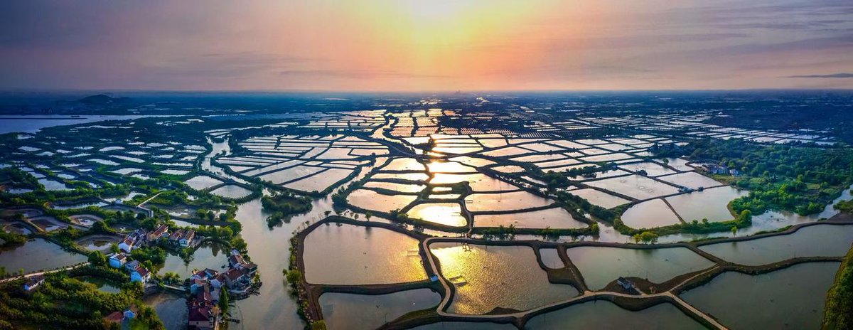 izhejiang's tweet image. On Oct 17, #UNWTO named Digang village in Huzhou one of the world&apos;s Best Tourism Villages. With Yucun (2021), Xiajiang (2023), and Xitou (2024) already honored, #Zhejiang now leads China with 4 global winners — more than any other province!🥳