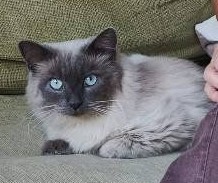 20.10.25 Toujours recherché.