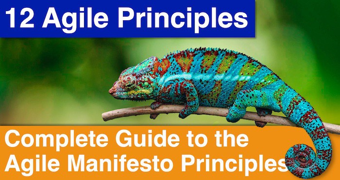 OnlinePMCourses's tweet image. How did Agile Project Project Management Start?

Read more 👉 bit.ly/42ncVCW

#AgileProjectManagement #ProjectManagement #AgileManifesto