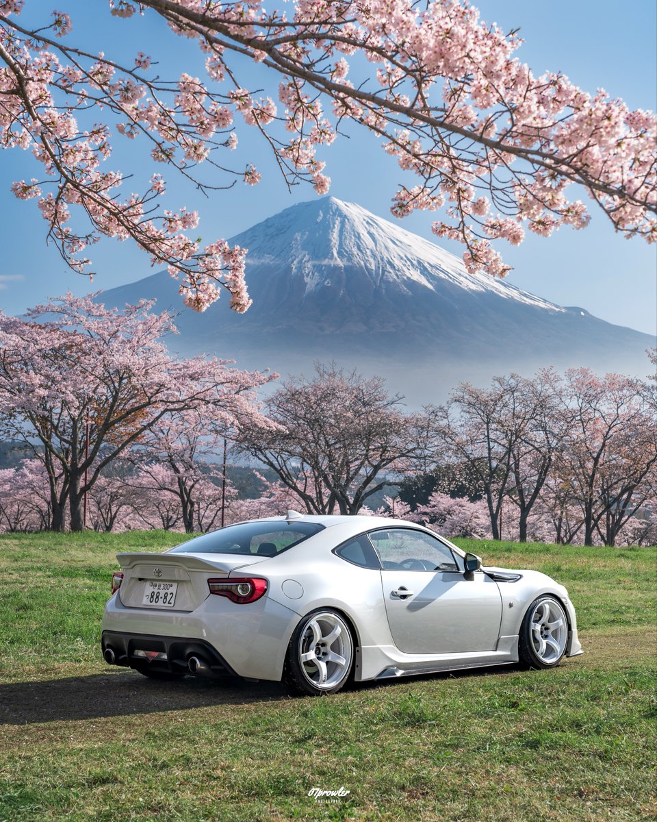 【水色( ◠‿◠ プロフ見てね╹◡╹）】4本セット まさ🦈こころぷろじぇくと on X