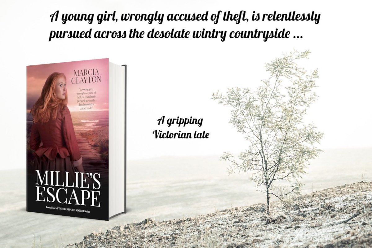 Young Millie and Jonathan Gibbs undertake a dangerous 50-mile journey on foot across the desolate Devon countryside to escape the clutches of a woman set on bitter revenge.
mybook.to/MilliesEscape
#amreading #historicalsaga #booksworthreading