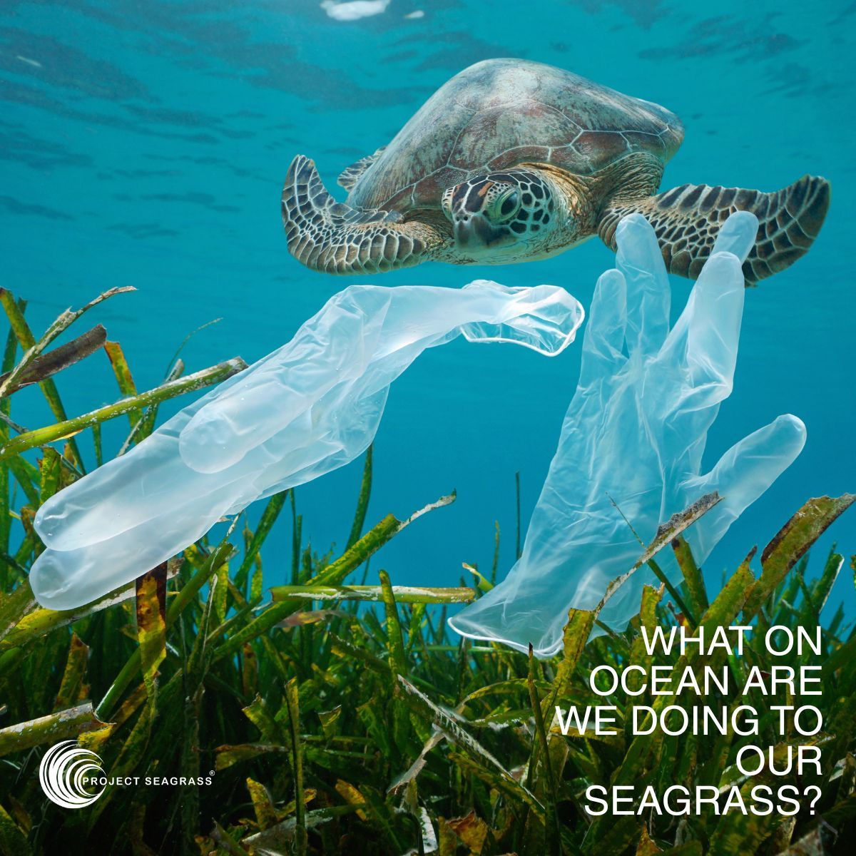 Richard Unsworth 🏴󠁧󠁢󠁷󠁬󠁳󠁿 tweet media