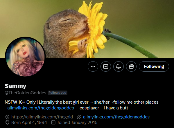 EllieatNight's tweet photo. Your bio is boring. There, I said it. 
If it's not attracting the right people (aka paying fans), it's not working.

It needs 3 things: 
✨ A little spice (Who are you?) 
💸 A little value (What's in it for them?) 
👇 A clear direction (Where do they go next?!)

Here are two bios I love that are doing this perfectly.
(https://t.co/CKHGzYZhBj & https://t.co/oxaIHqu49v)
