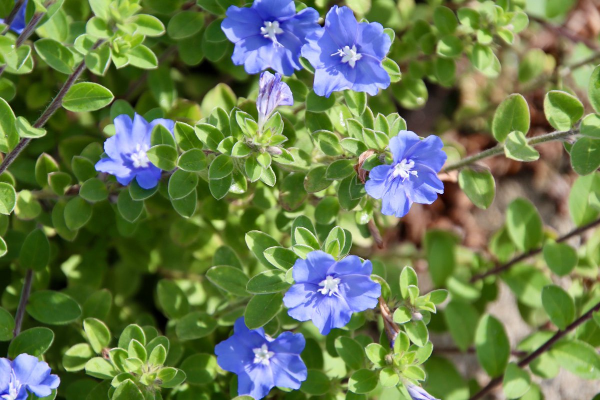 ryuページです⭐︎ ryu ryu 3❌No DMs please🐯🍥🍚😋🎹🎸 fx