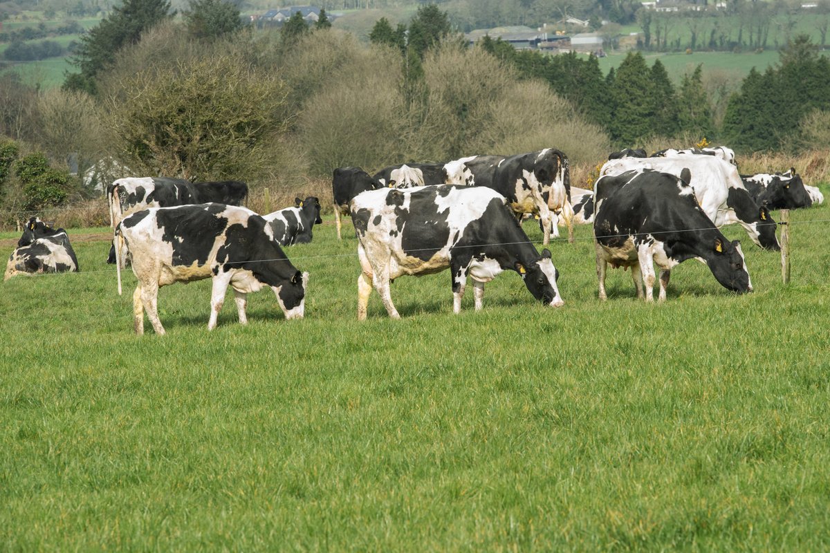 Agri Business Executives - Customer Accounts Dept. (North Midlands)

For this office-based position, our client, a well-known feed mill, requires two candidates with good commercial ability, a solid interest in farming and agri business, in particular about dairy, calf, young