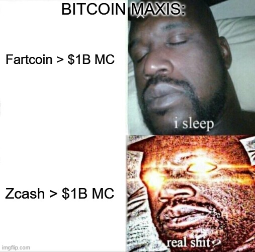 Zcashの急騰とミームコインに対するBitcoinマキシたちの反応を描いたミーム