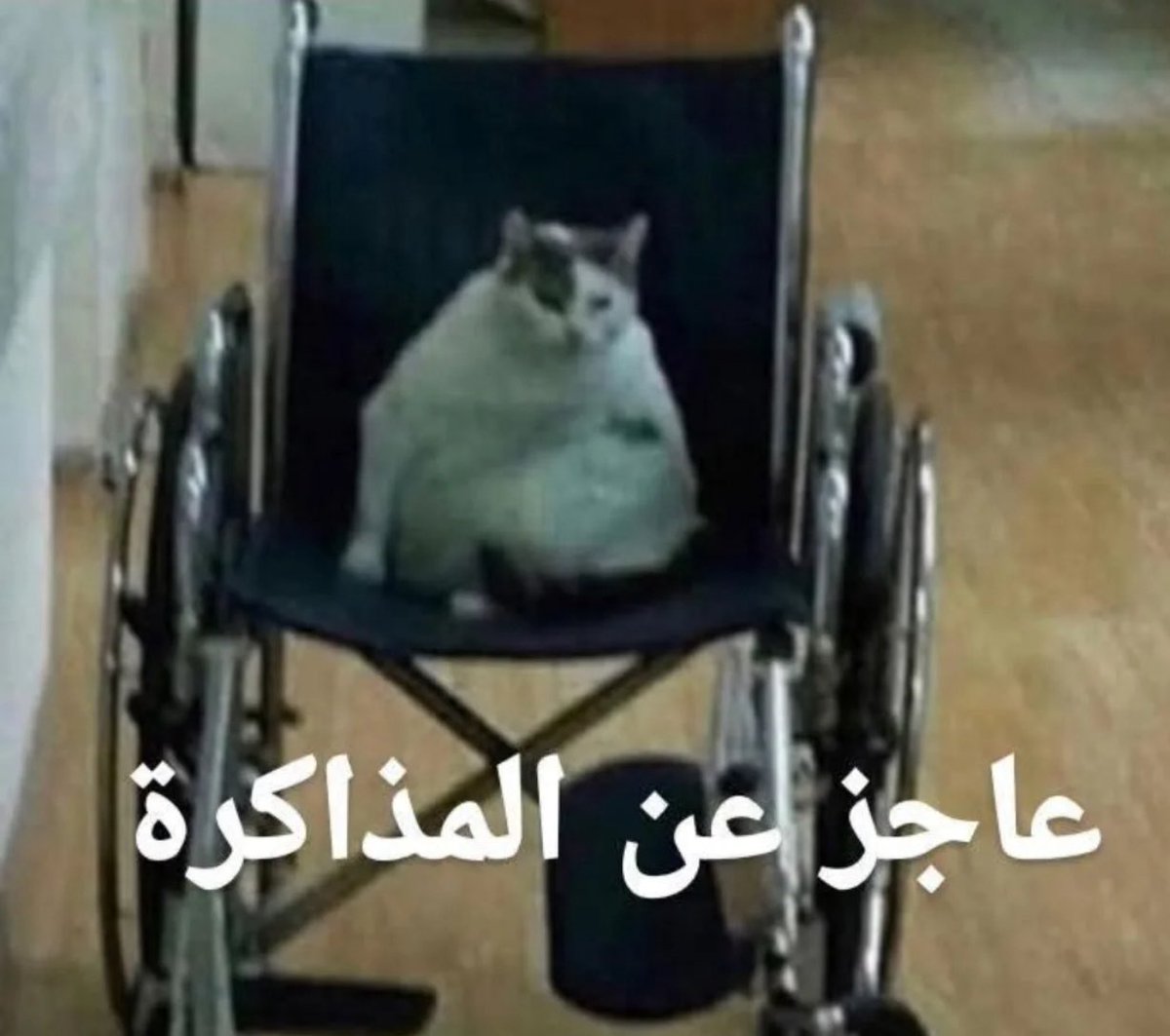 سيسي عبدو (@queensisi24) on Twitter photo 