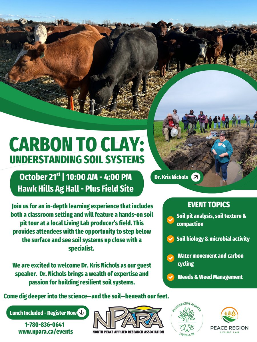 Peace Living Lab tweet media