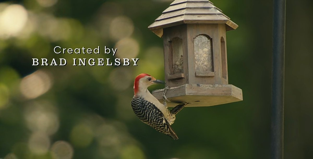 anandajithsnair's tweet image. Outstanding finale! 🥹👌 
Thank you, Brad Ingelsby! 
Can’t wait to see whatever you do next!

#Task #TaskHBO