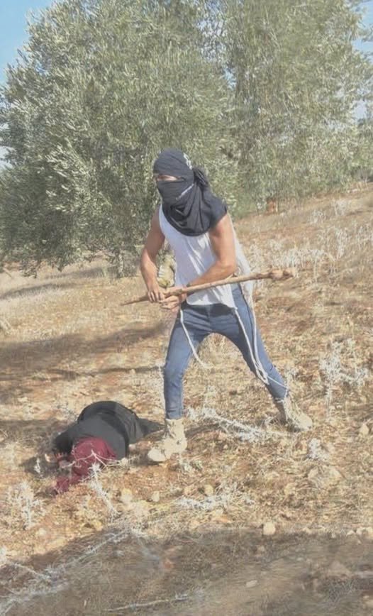 PopularFront_'s tweet photo. 🇵🇸 #Palestine - 🇮🇱 #Israel: Footage from yesterday shows a masked Israeli settler attacking an 80-year-old Palestinian woman while she was picking olives on her own land, north of Ramallah.

Reports show repeated attacks on olive-pickers across the West Bank: settlers have cut down hundreds of trees in the Ramallah governorate alone, fired live bullets at harvesters, blocked access to fields and used violence to force Palestinians off their land

(via MiddleEastEye)