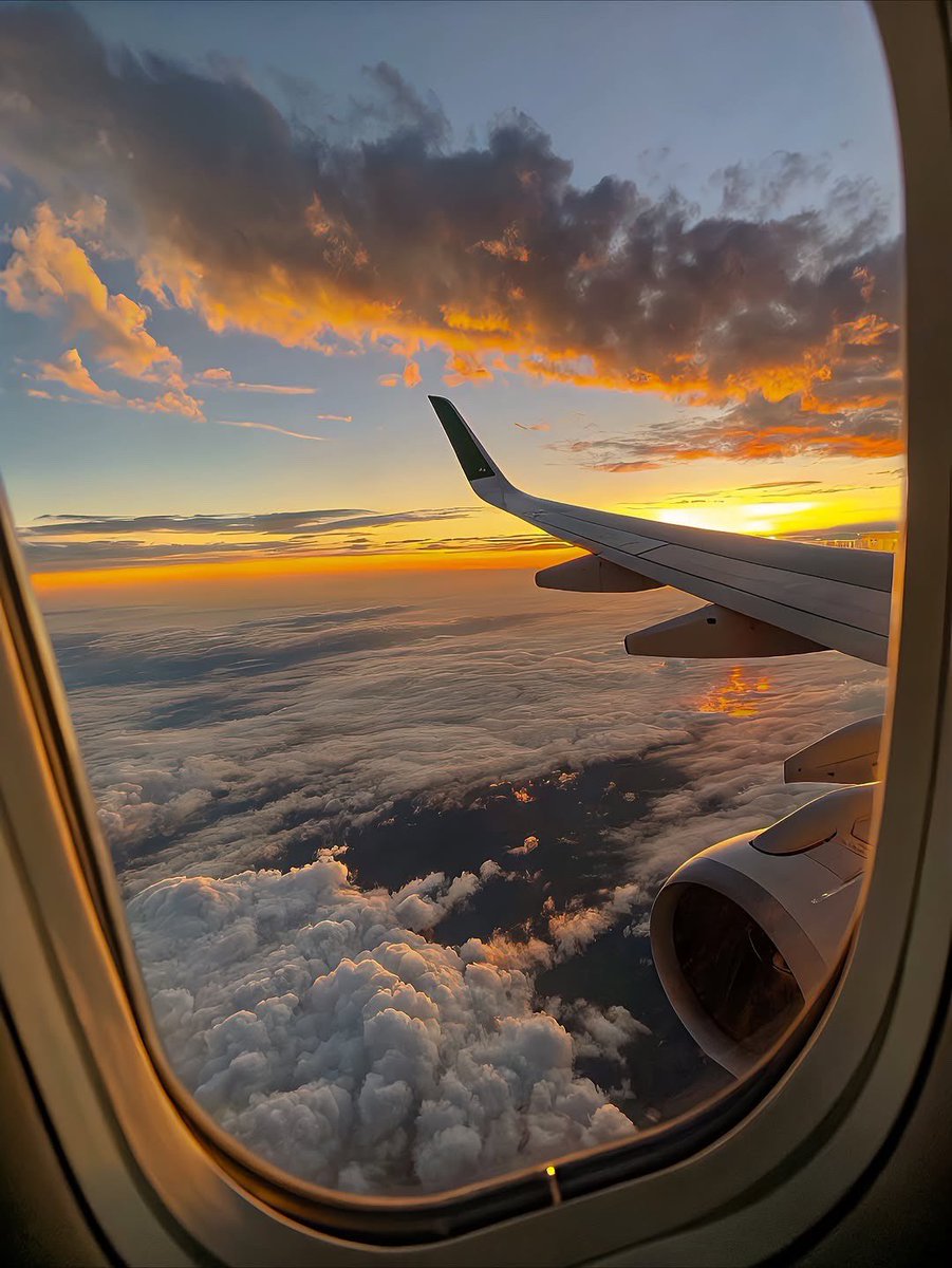 حنان tweet media