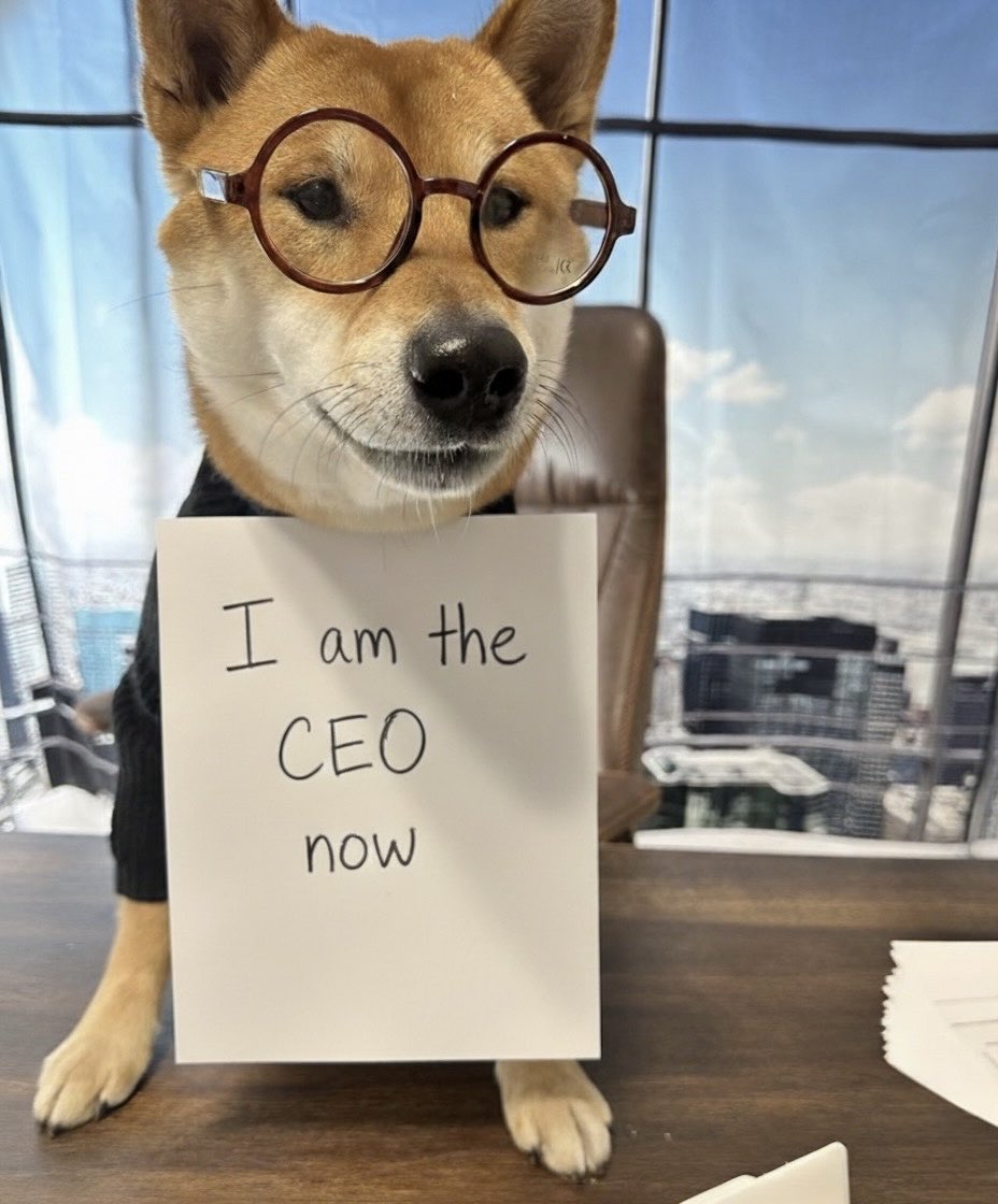 𝕏 has the coolest CEO ever.