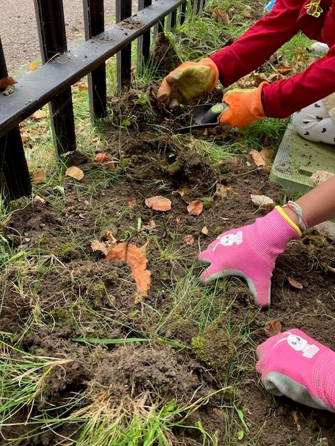 Our new Education Officer, Vicky, had a great day supporting <a href="/BridgeJun/">Bridge Junior School, Leicester</a> school to plant daffodil bulbs around their school grounds as part of #WorldMentalHealthDay. Hopefully in Spring they will bring lots of colour and smiles to everyone!