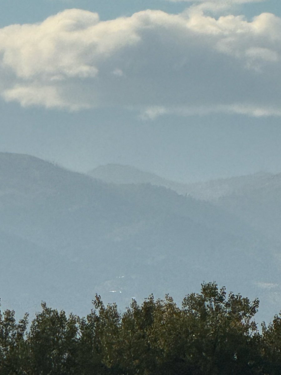 BellatrixMCO (@bellatrixmco) on Twitter photo 