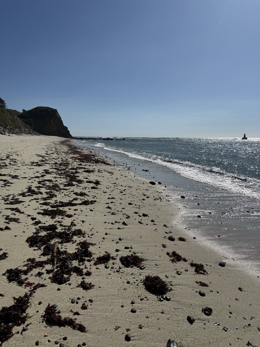 BellatrixMCO (@bellatrixmco) on Twitter photo 